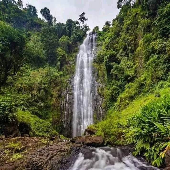 1-Day Day Trip at Materuni Waterfall