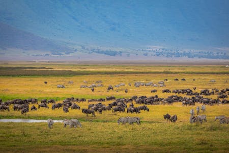 1-Day Private Ngorongoro Safari