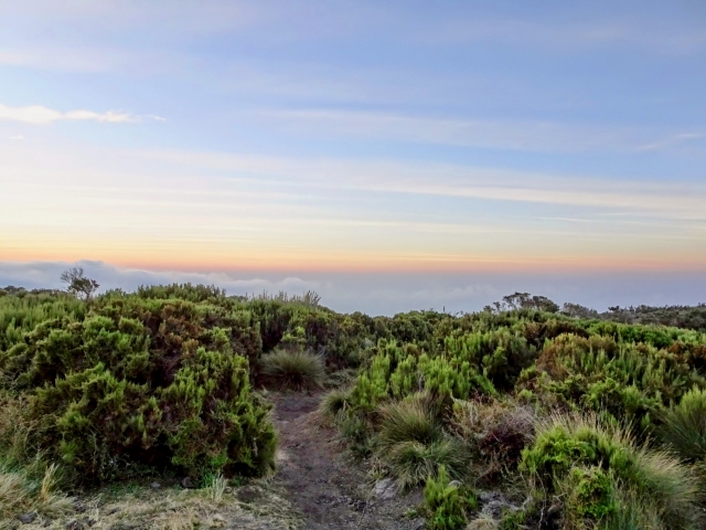 6 Days Climb Kilimanjaro Rongai Route